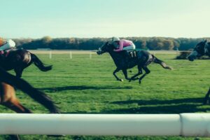 horse racing on a racecourse